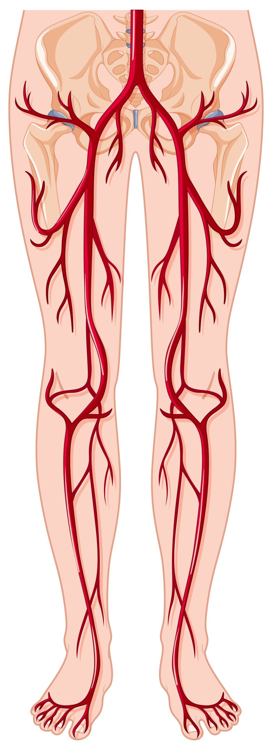 Otras áreas de interés